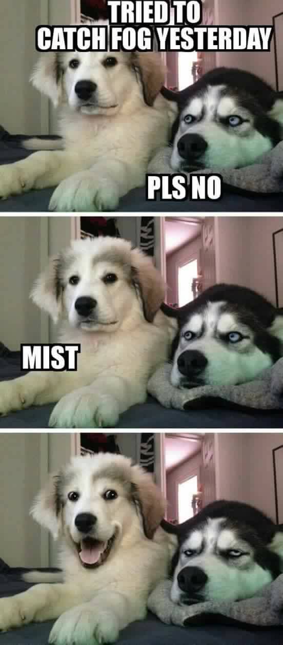 Memes to Amuse Your Tired Mind