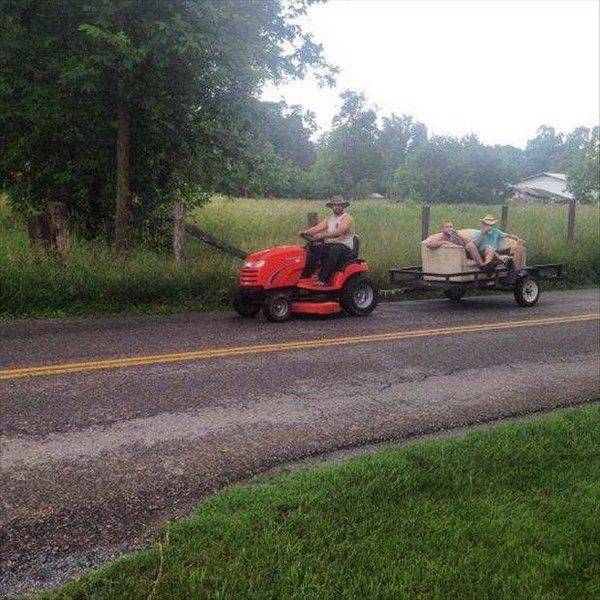 Daily Picdump