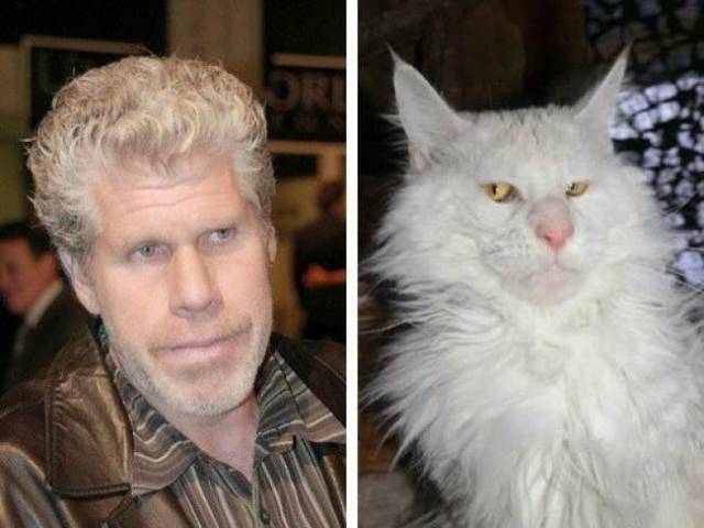 Funny Picdump