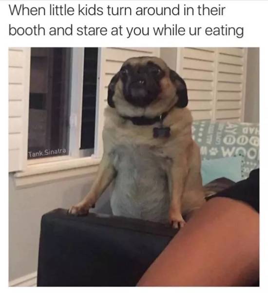 Funny Picdump