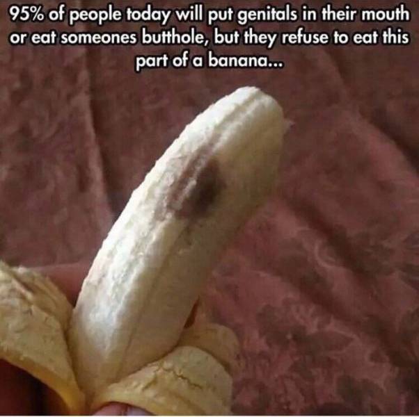 funny picdump 52 pics 15.html - 52 HD Photos | Premium Gallery 2016