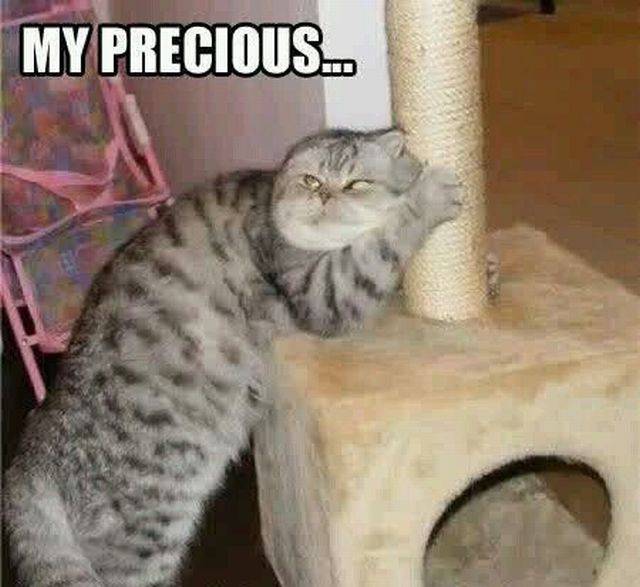 funny picdump 52 pics 15.html - 52 HD Photos | Premium Gallery 2016