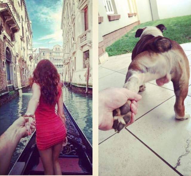 funny picdump 52 pics 15.html - 52 HD Photos | Premium Gallery 2016