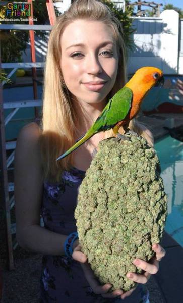 morning picdump 57 pics 5.html - 57 HD Photos | Premium Gallery 2016