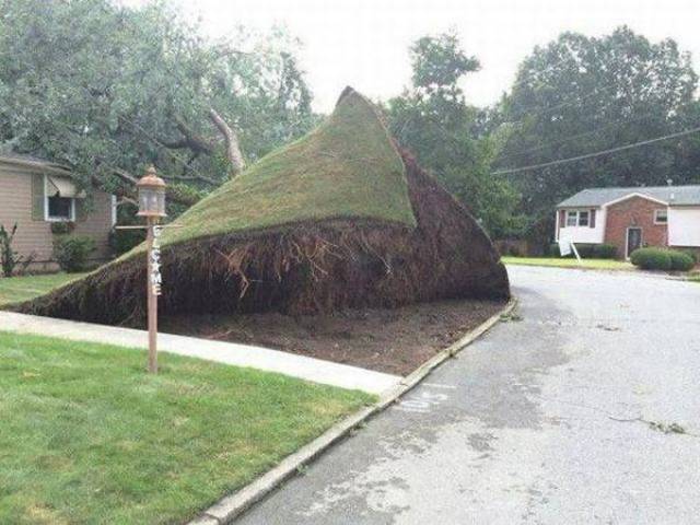 Well, There Is Something That You Don’t See Everyday