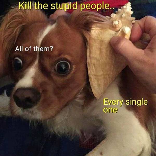 Funny Picdump