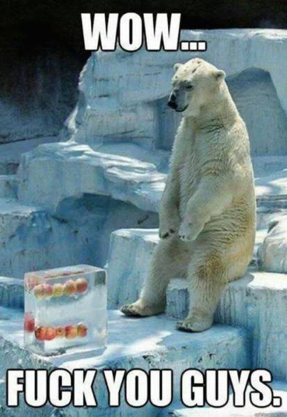 Funny Picdump