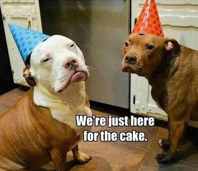 Funny Picdump