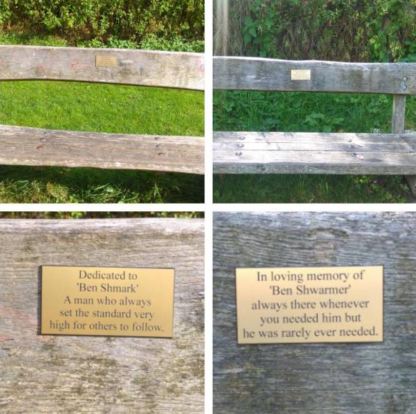 funny picdump 55 pics 2.html - 55 HD Photos | Premium Gallery 2016