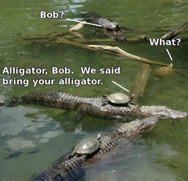 funny picdump 55 pics 2.html - 55 HD Photos | Premium Gallery 2016