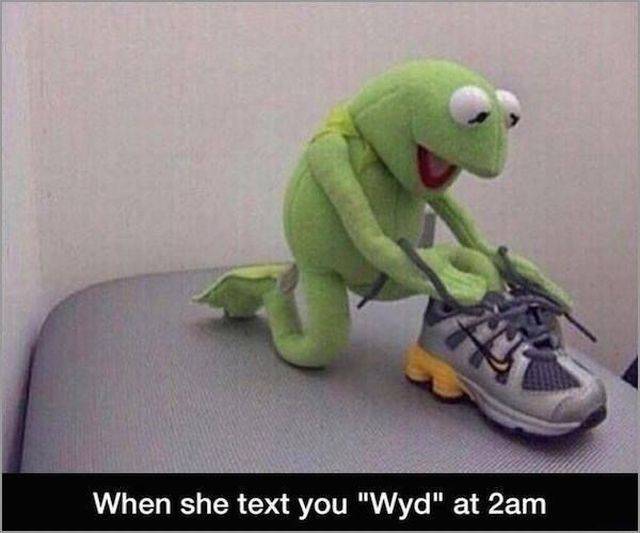 funny picdump 55 pics 2.html - 55 HD Photos | Premium Gallery 2016