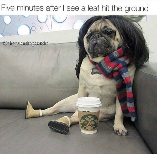 funny picdump 55 pics 2.html - 55 HD Photos | Premium Gallery 2016