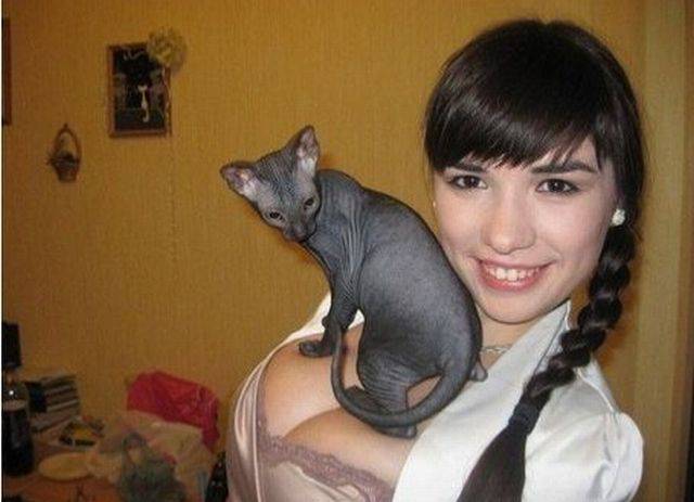grownup corner 57 pics 15 gifs 8.html - 57 HD GIF | Premium Gallery 2016