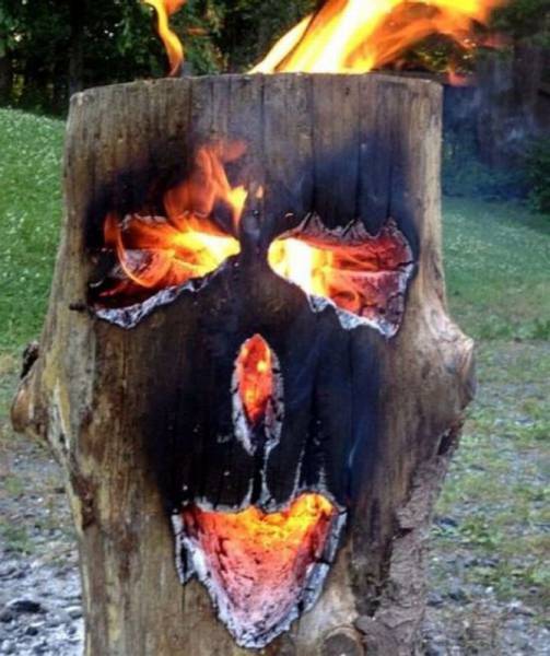 Morning Picdump