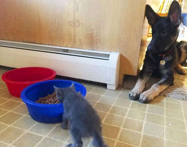 morning picdump 55 pics 16.html - 55 HD Photos | Premium Gallery 2016