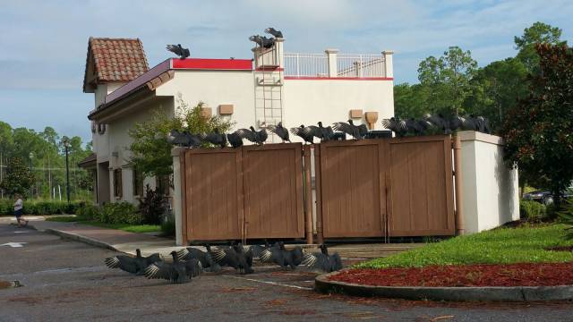 morning picdump 57 pics 27.html - 57 HD Photos | Premium Gallery 2016