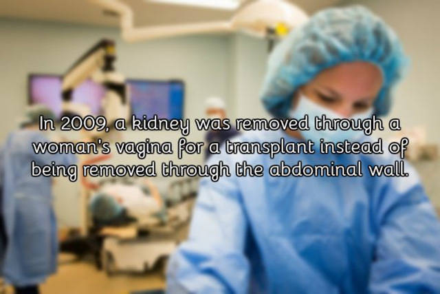 A Few Facts About Vagina You Need To Know
