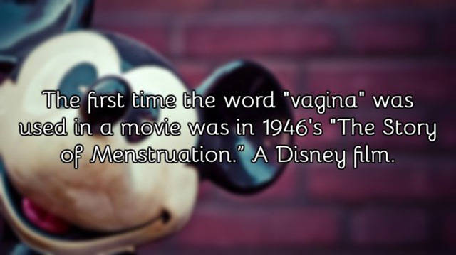 A Few Facts About Vagina You Need To Know