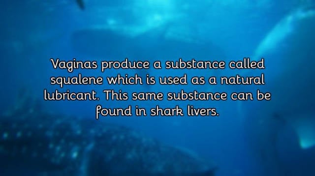 A Few Facts About Vagina You Need To Know