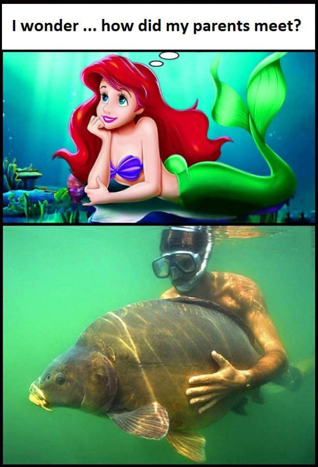 funny picdump 55 pics 1.html - 55 HD Photos | Premium Gallery 2016