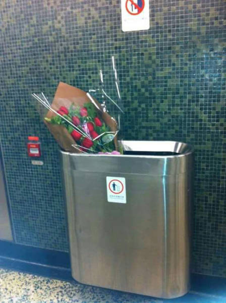 funny picdump 53 pics 10.html - 53 HD Photos | Premium Gallery 2016