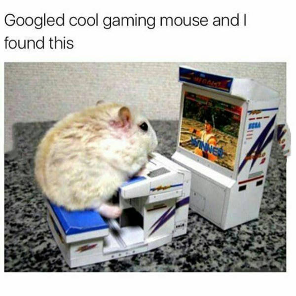 funny picdump 53 pics 10.html - 53 HD Photos | Premium Gallery 2016