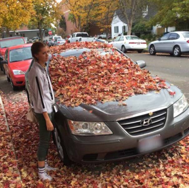 Morning Picdump