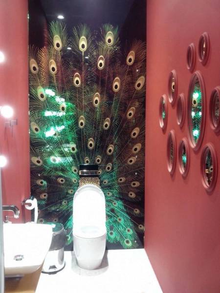 Morning Picdump