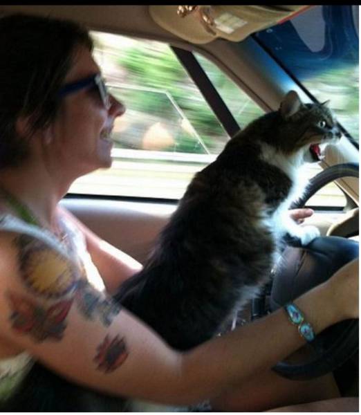 Morning Picdump