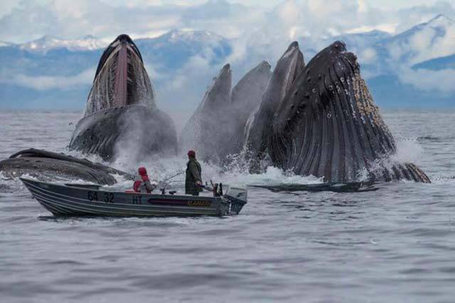 morning picdump 53 pics 2.html - 53 HD Photos | Premium Gallery 2016