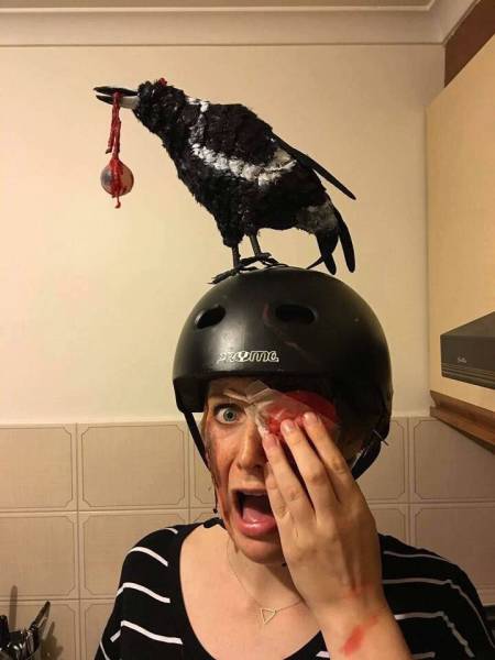 morning picdump 53 pics 2.html - 53 HD Photos | Premium Gallery 2016