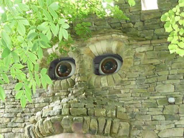 morning picdump 53 pics 2.html - 53 HD Photos | Premium Gallery 2016