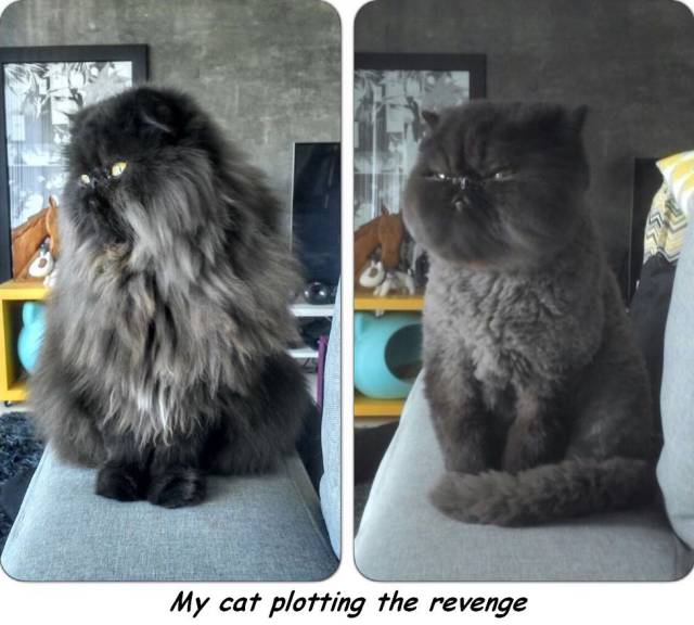 daily picdump 94 pics 41.html - 94 HD Photos | Premium Gallery 2016