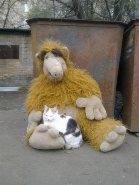 Daily Picdump