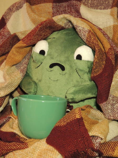 Morning Picdump