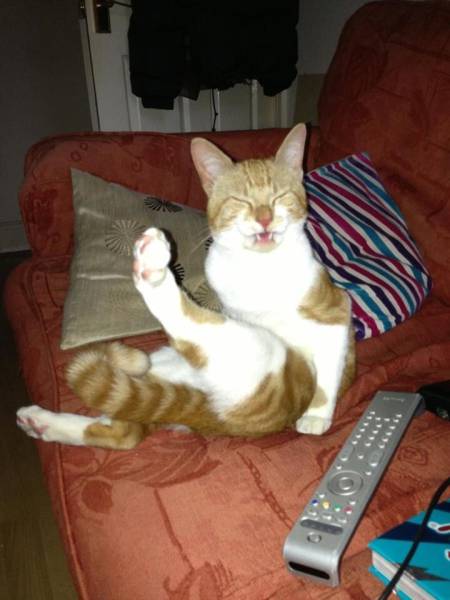 morning picdump 50 pics 1.html - 50 HD Photos | Premium Gallery 2016