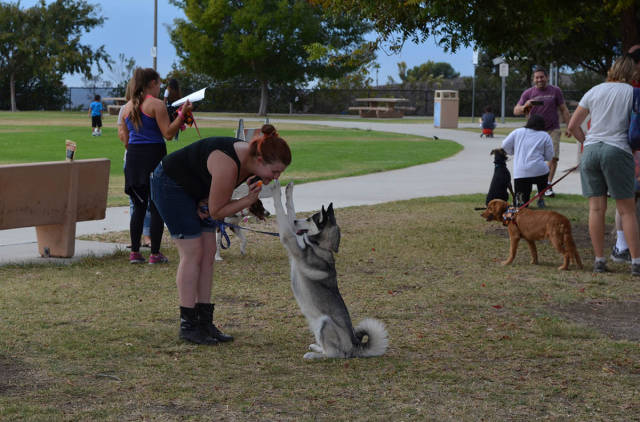 morning picdump 51 pics 25.html - 51 HD Photos | Premium Gallery 2016
