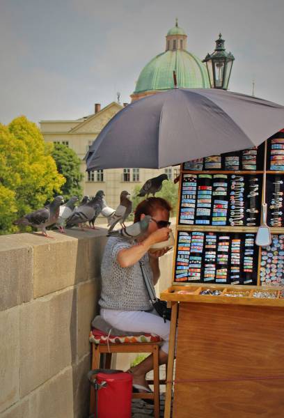 daily picdump 80 pics 6.html - 80 HD Photos | Premium Gallery 2016