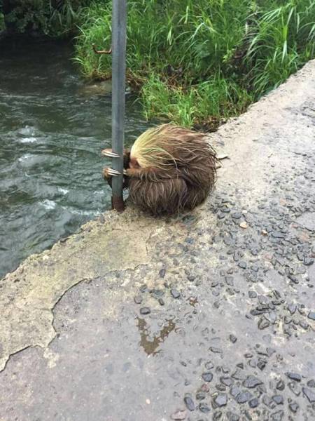 daily picdump weekend edition 52 pics 9.html - 52 HD Photos | Premium Gallery 2016