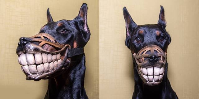 morning picdump 54 pics 15.html - 54 HD Photos | Premium Gallery 2016