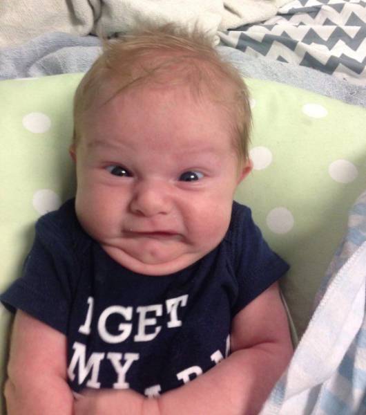 Daily Picdump