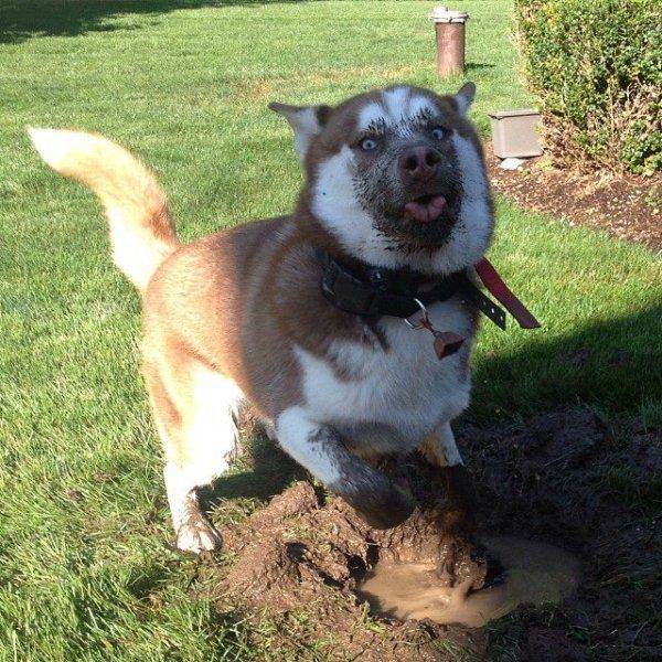 daily picdump 99 pics 11.html - 99 HD Photos | Premium Gallery 2016