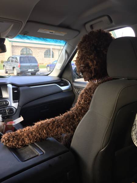 daily picdump weekend edition 52 pics 10.html - 52 HD Photos | Premium Gallery 2016