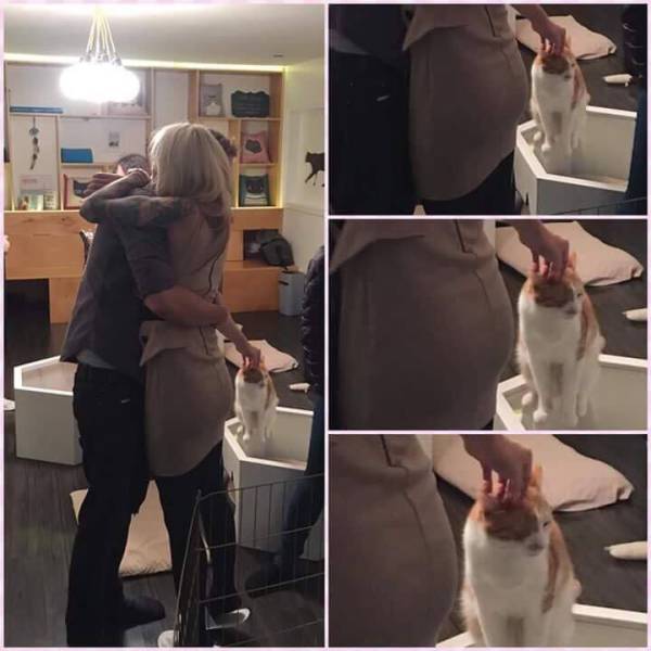 Morning Picdump