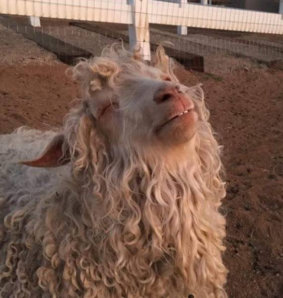 morning picdump 50 pics 21.html - 50 HD Photos | Premium Gallery 2016
