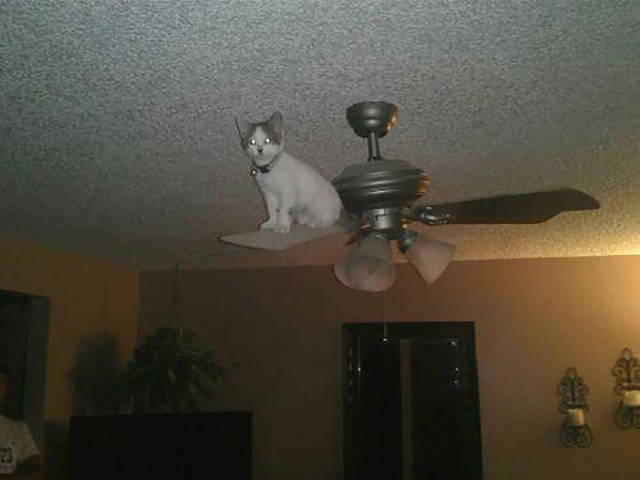 morning picdump 50 pics 21.html - 50 HD Photos | Premium Gallery 2016