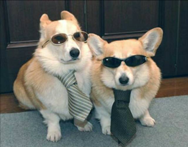 morning picdump 50 pics 21.html - 50 HD Photos | Premium Gallery 2016