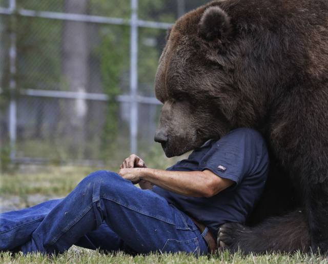 Daily Picdump
