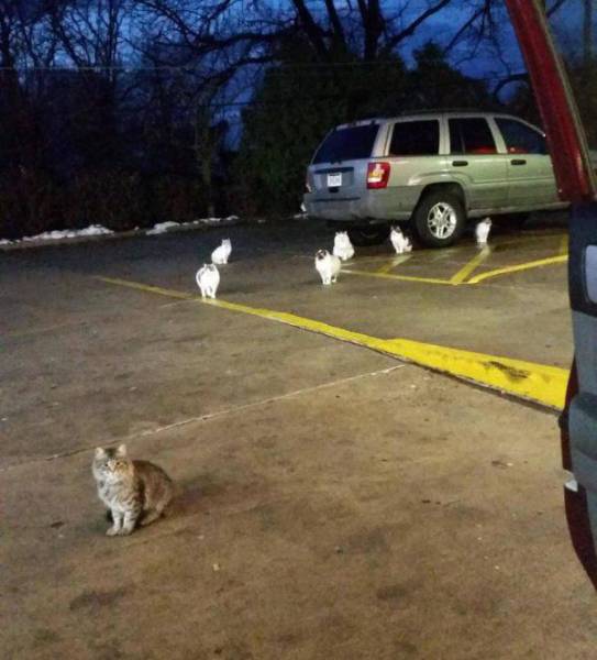 Daily Picdump