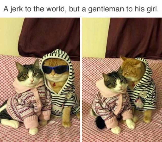 daily picdump 89 pics 32.html - 89 HD Photos | Premium Gallery 2016
